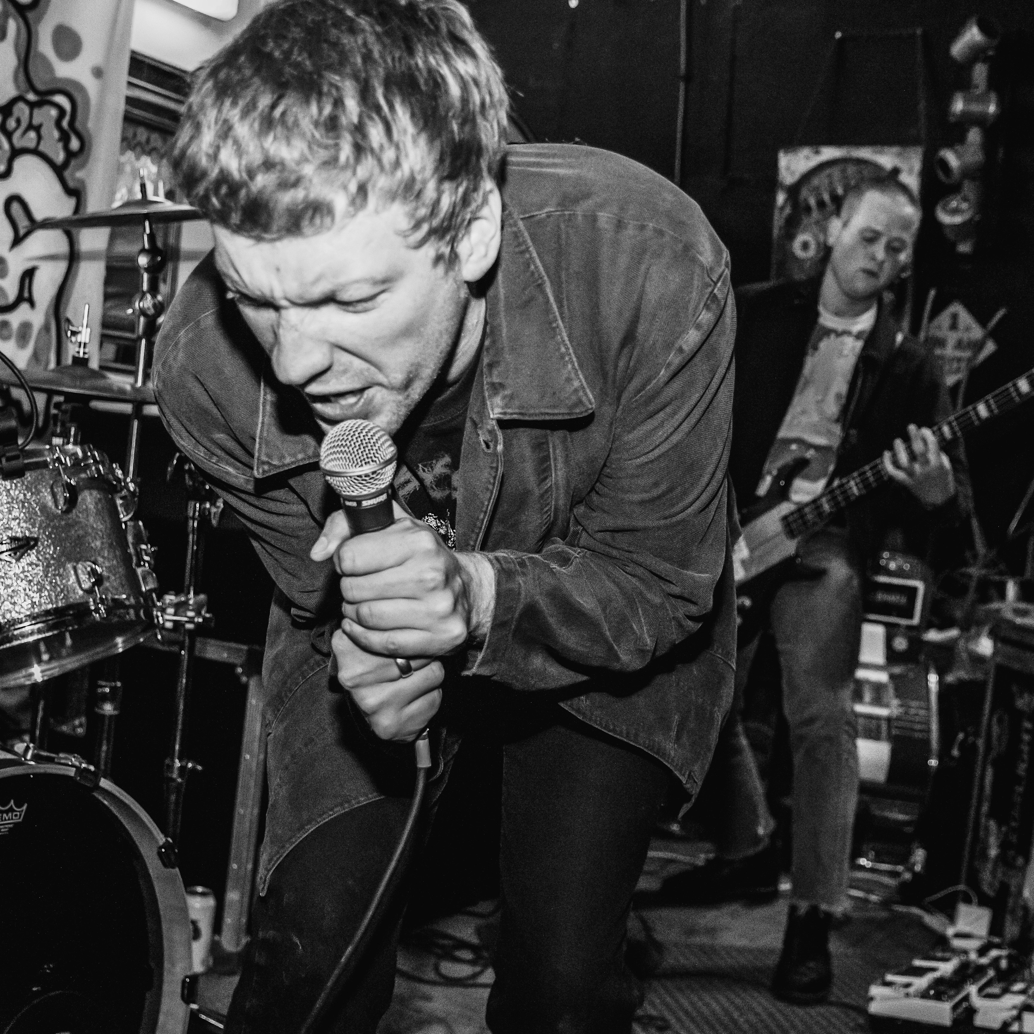 Bad Breeding + KLONNS + Zenocide + The Easy Eight + Secrecy + more
