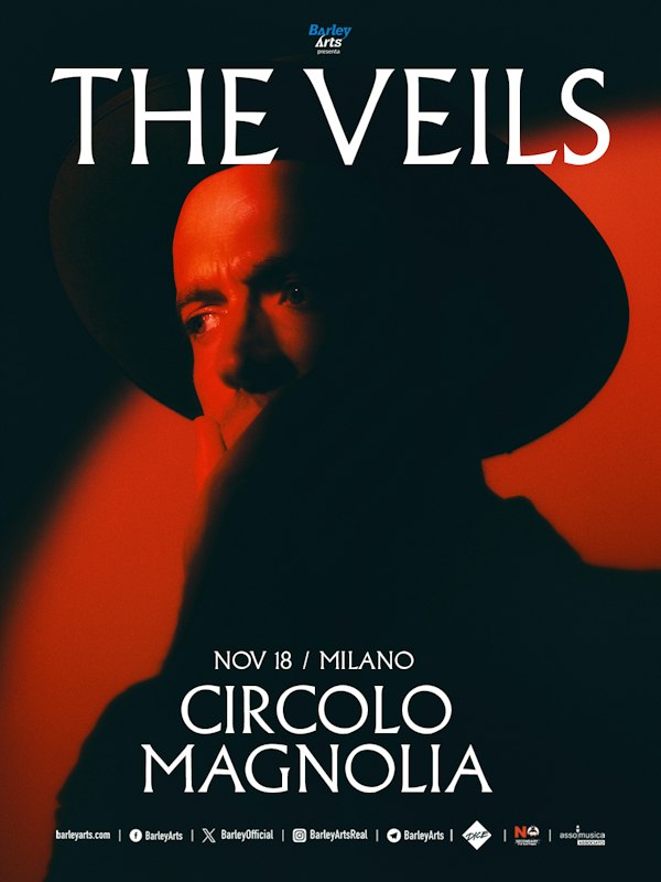 The Veils