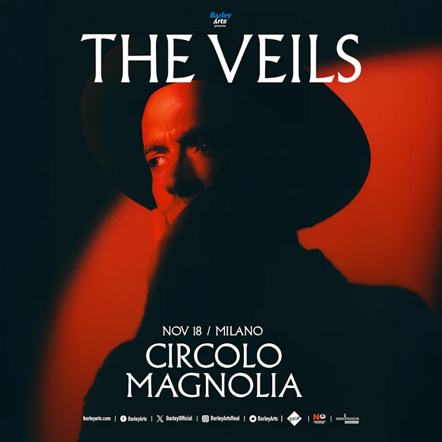 The Veils