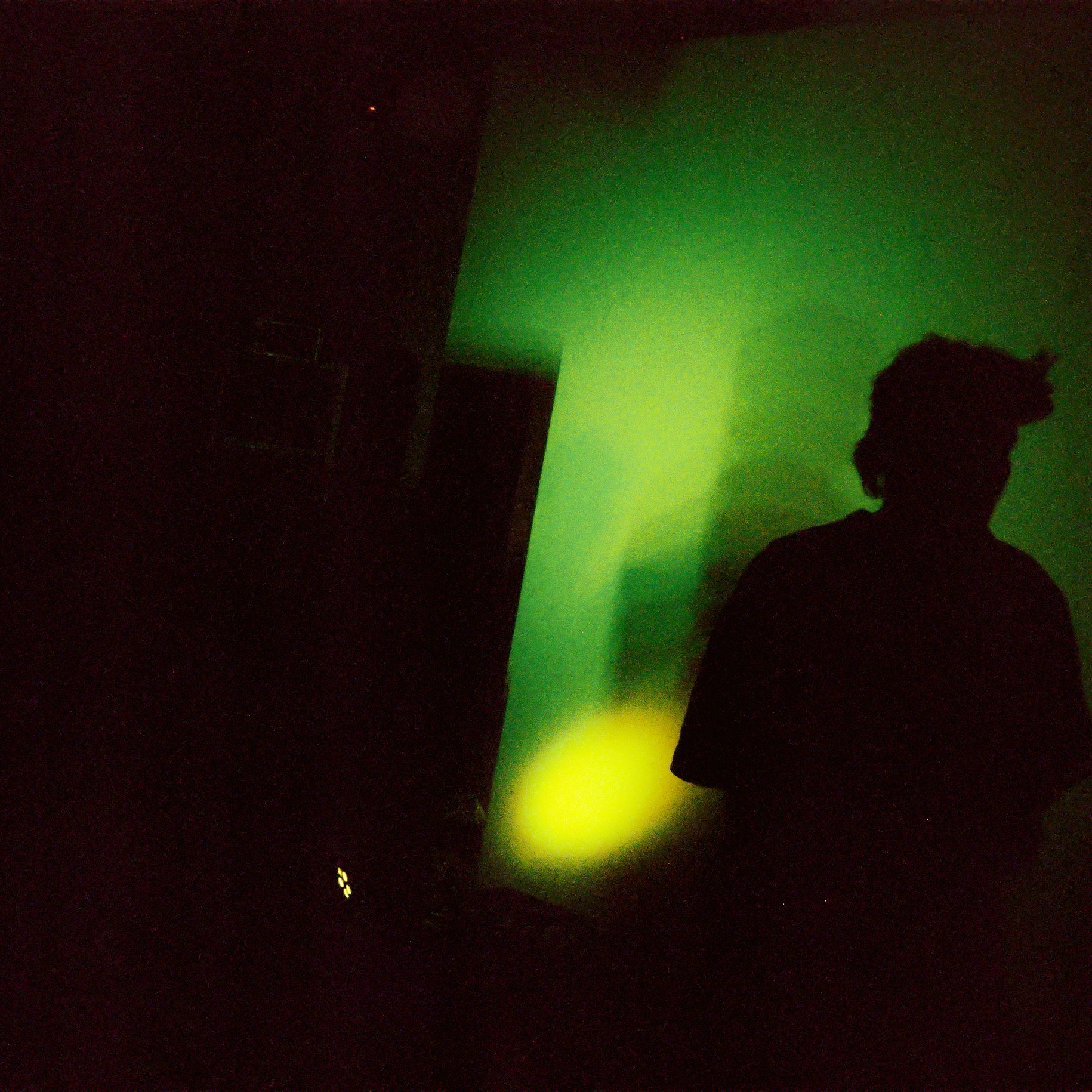 IIIIIIIIIIIIIIIIIIII (Barcode) + Flo de Lotus