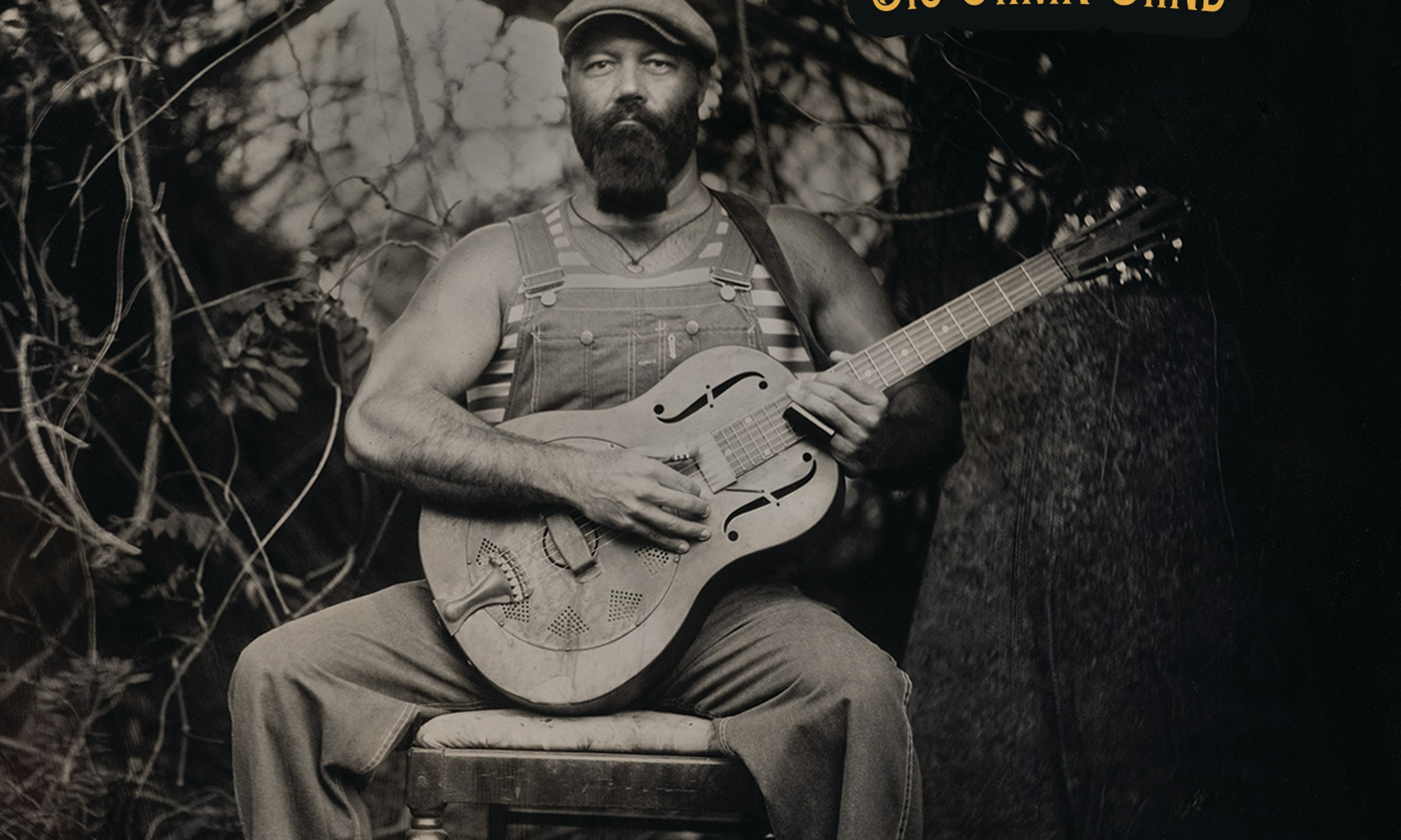 The Reverend Peyton's Big Damn Band