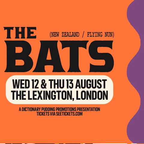 The Bats (Flying Nun, NZ) - Night 1