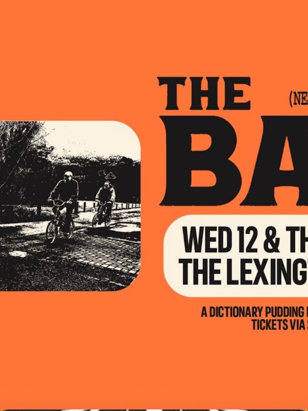 The Bats (Flying Nun, NZ) - Night 2