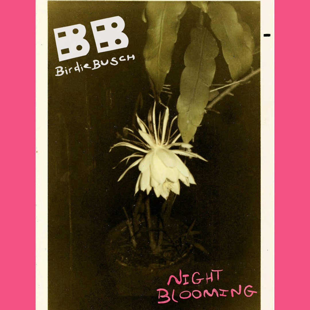 Photo of Birdie Busch Night Blooming Listening Party