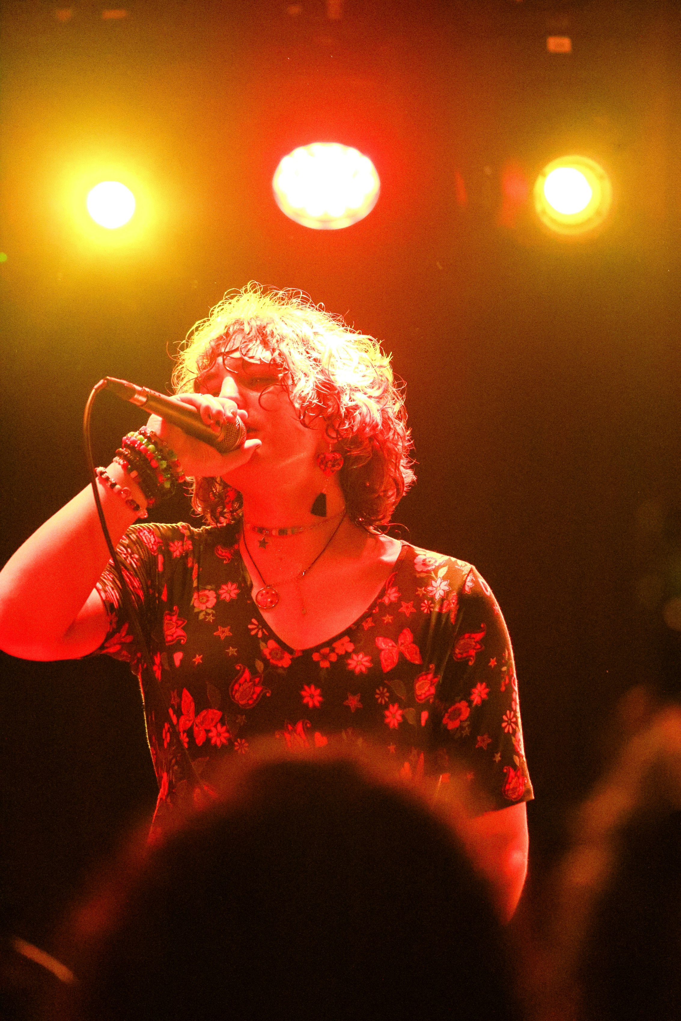 STOMACH BOOK + Your Arms are My Cocoon + Dead Butterflies + Porcelain Hearts