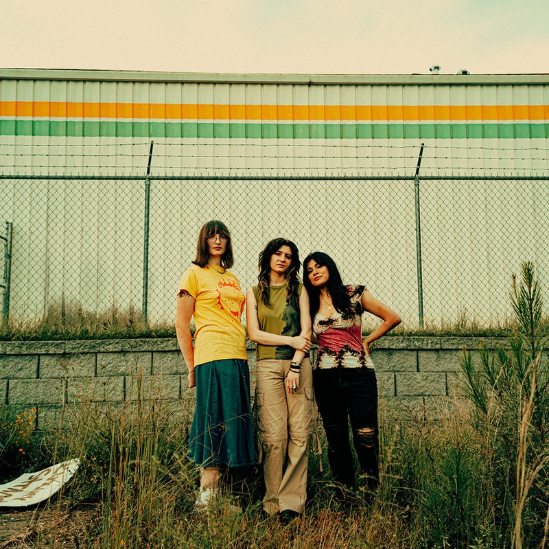 Photo of Yes Dear / Scoby / Convalescent