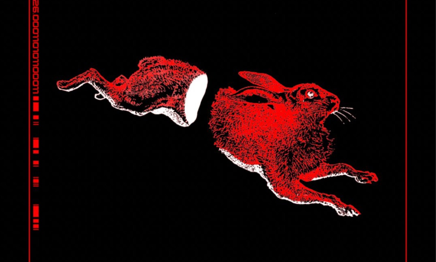 Sink (live w/ Adam Betts) & Colossal Squid