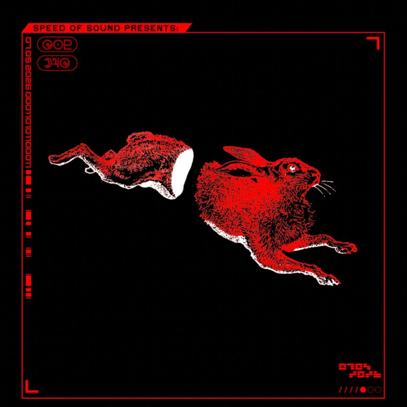 Sink (live w/ Adam Betts) & Colossal Squid 