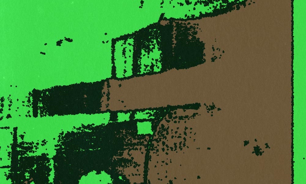 Domestic Partners / 1000 Legs / Cracked Lime