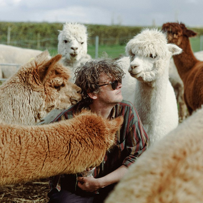 Bill Ryder-Jones and the Royal Liverpool Philharmonic Orchestra perform If… and other works