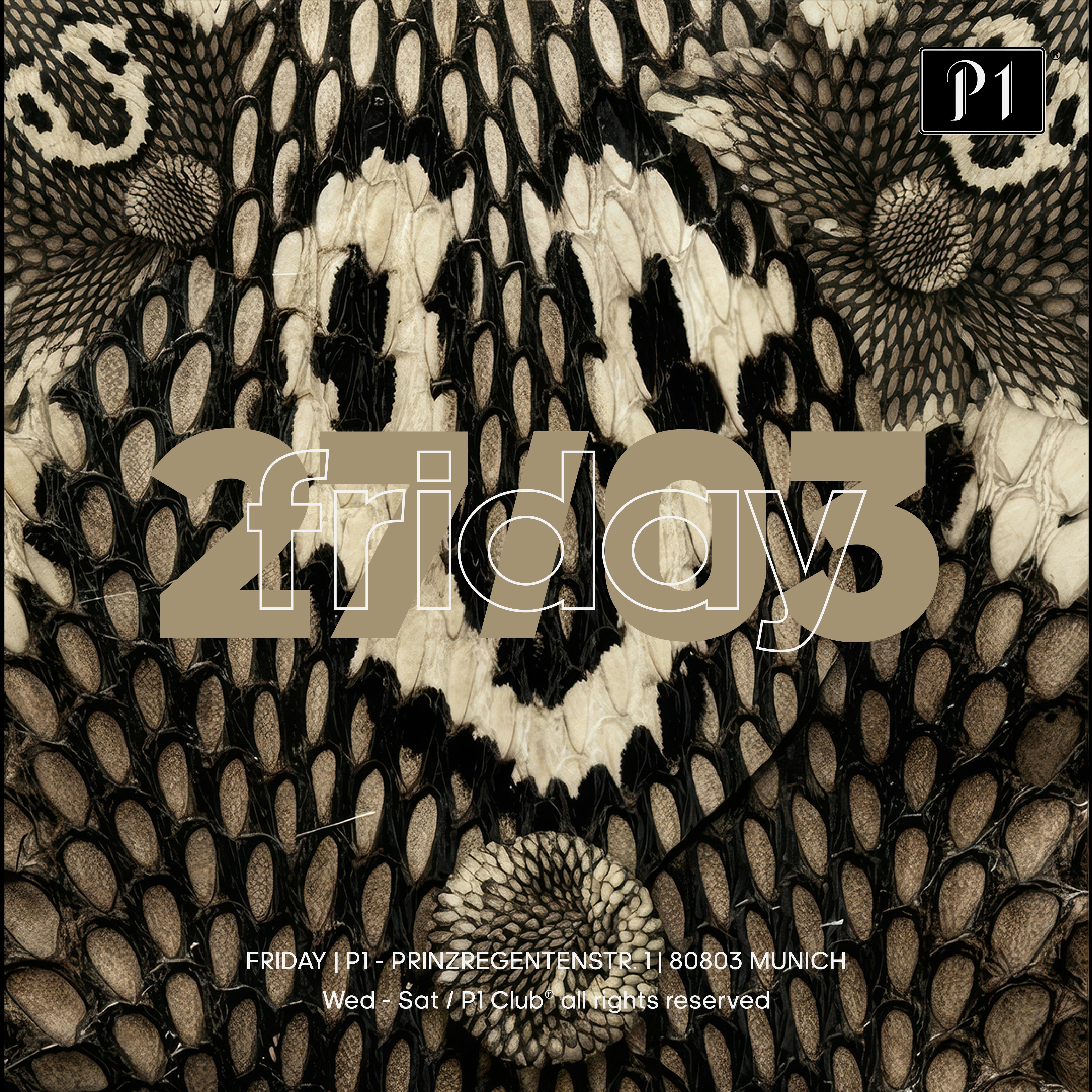 FRIDAYS Johnny Leoni & DK - Techno Party in München