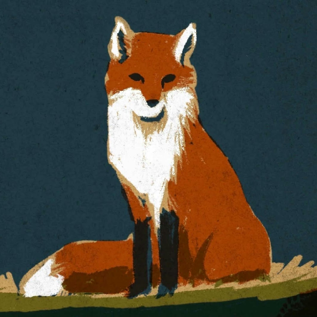 Photo of Wolfe Island Music Festival Weekend Pass