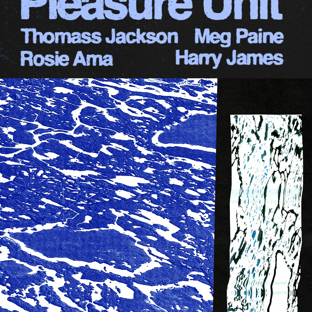 Pleasure Unit w/ Thomass Jackson, Meg Paine, Rosie Ama, Harry James