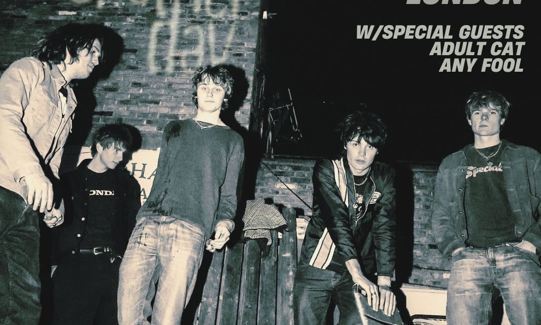 Another Day w/ Adult Cat + Any Fool