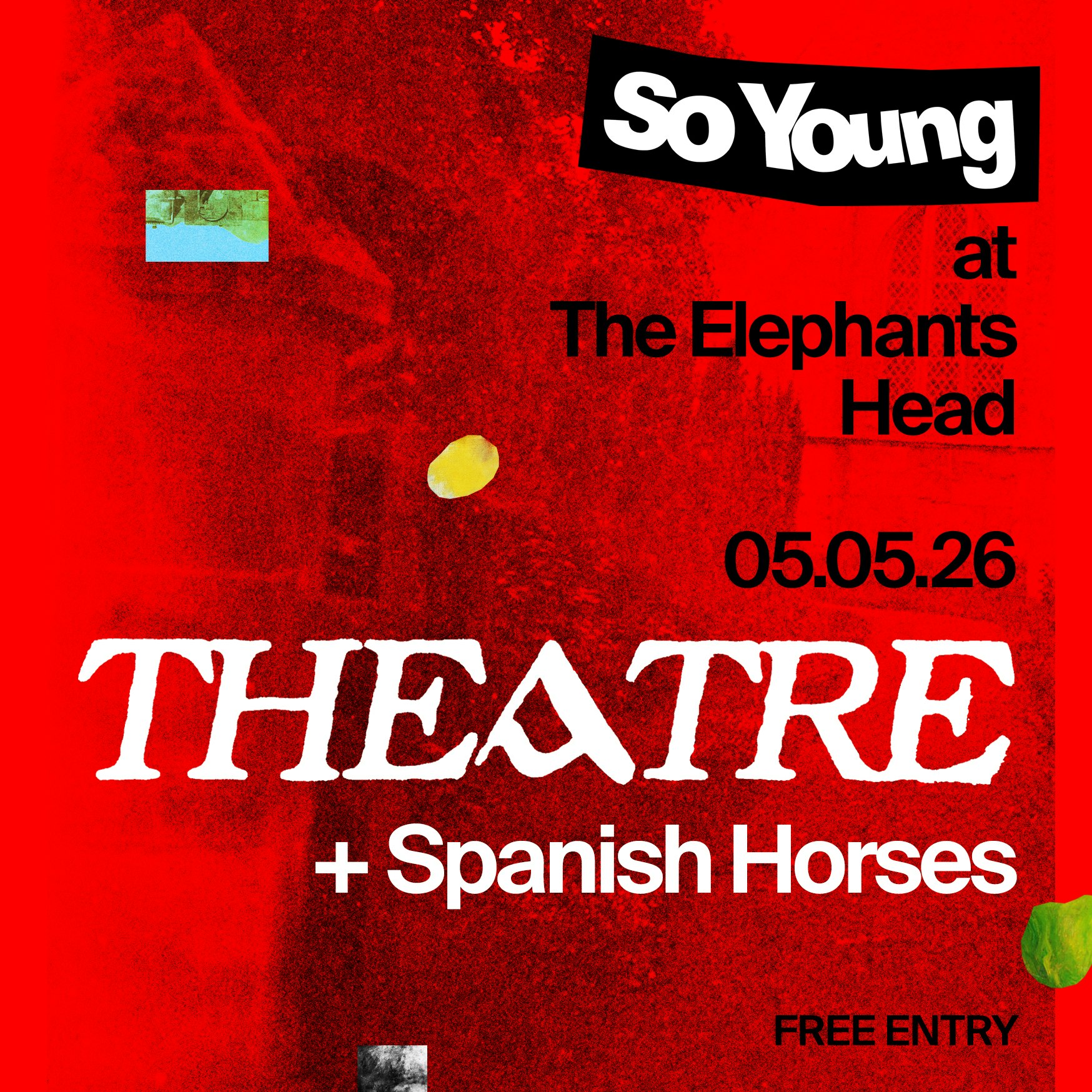 So Young at The Elephants Head: Theatre & Spanish Horses