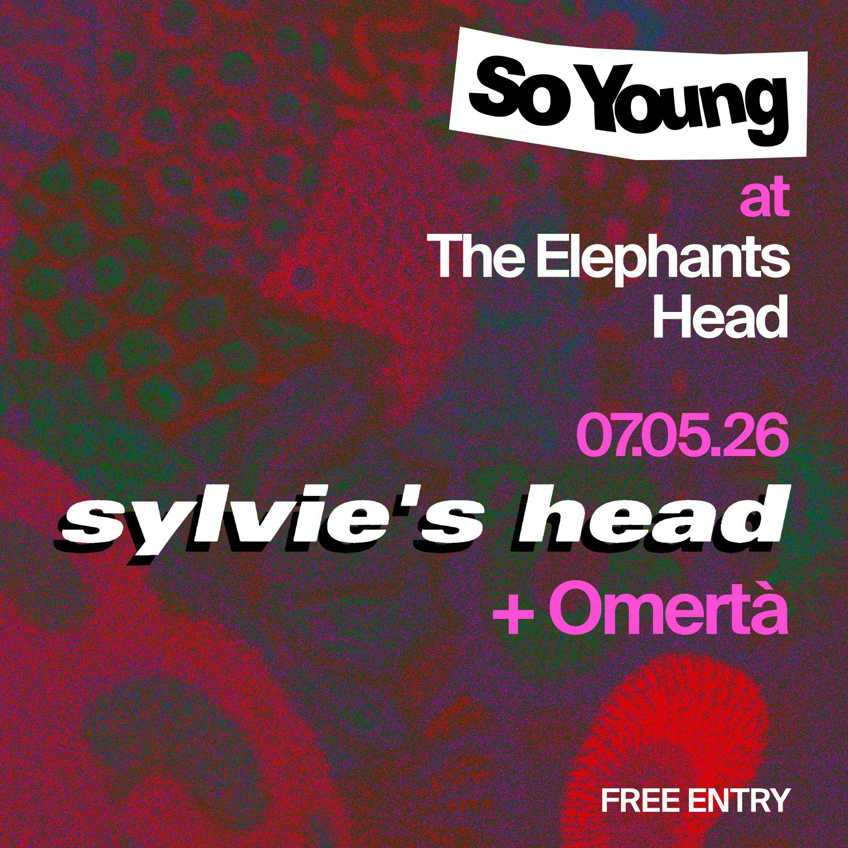 So Young at The Elephants Head: Sylvie's Head & Omertá