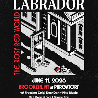 Labrador, Freezing Cold, Dear Dan, Nite Music