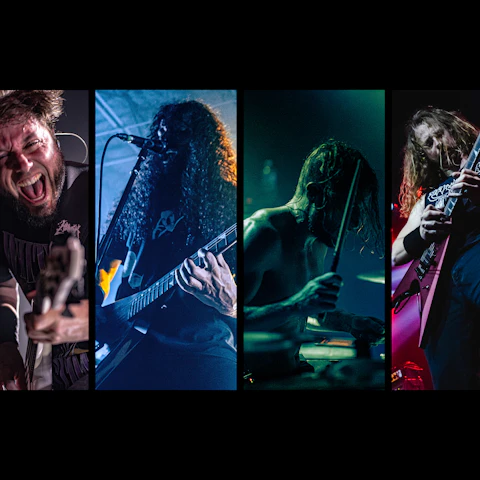 HAVOK
