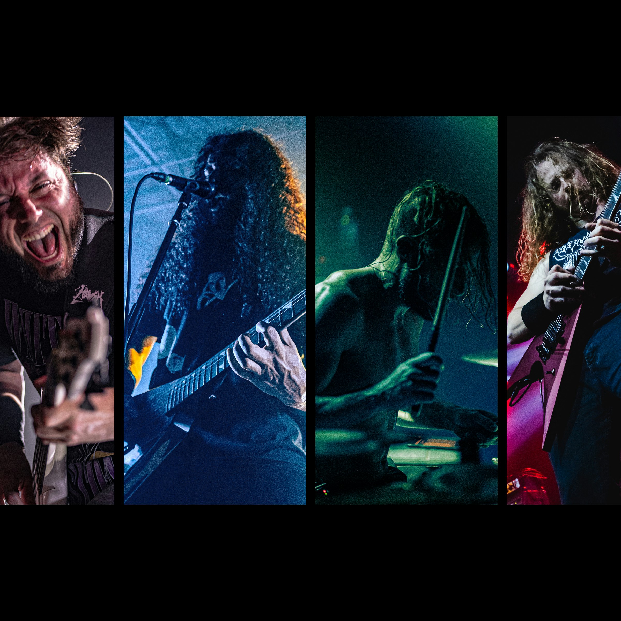 HAVOK