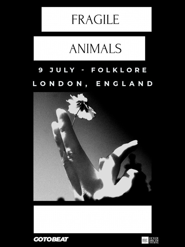 Fragile Animals live in London!