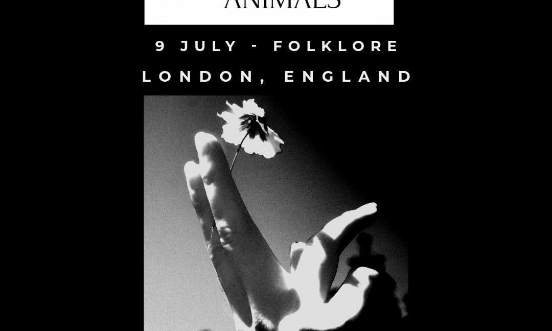 Fragile Animals live in London!