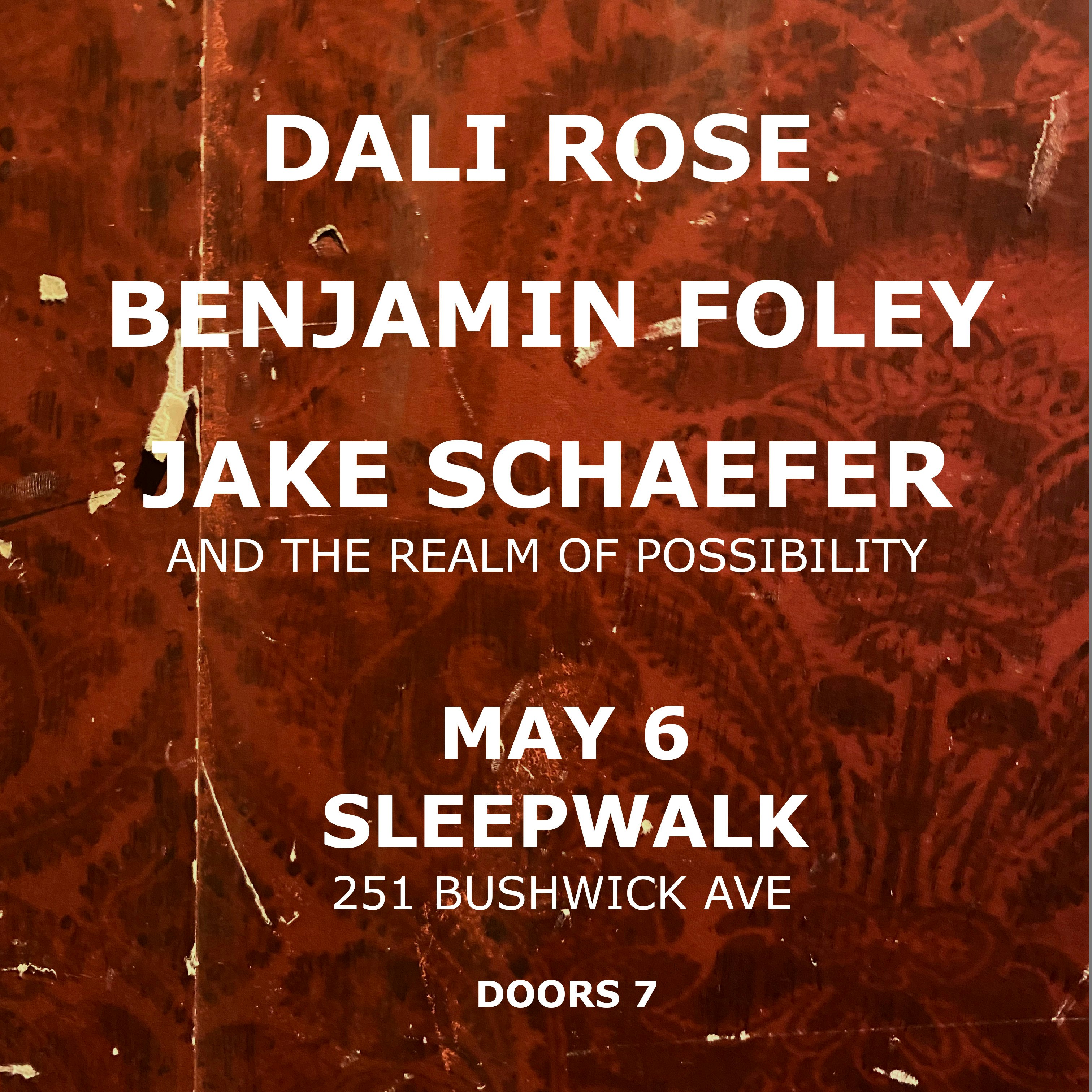 Photo of Dali Rose, Benjamin Foley, Jake Schaefer & The Realm of Possibility