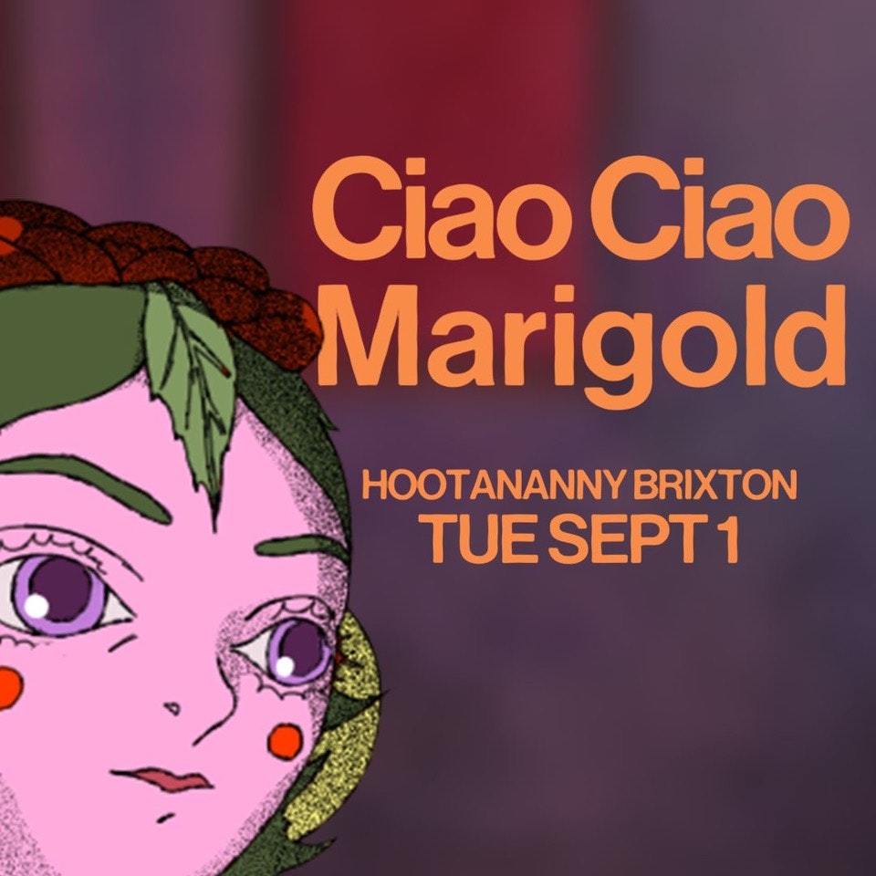 Ciao Ciao Marigold