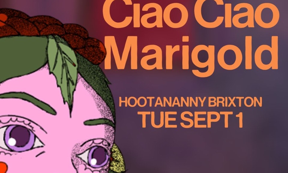 Ciao Ciao Marigold