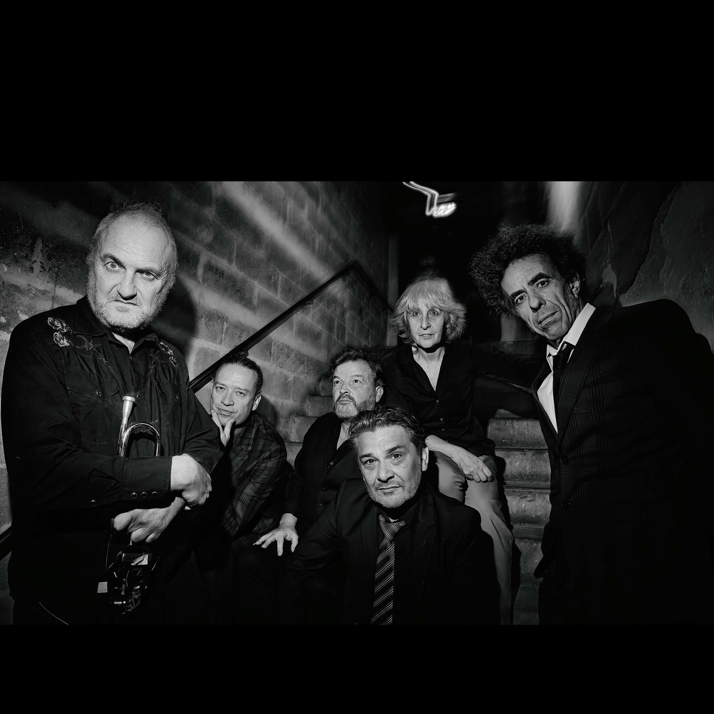 LES NEGRESSES VERTES