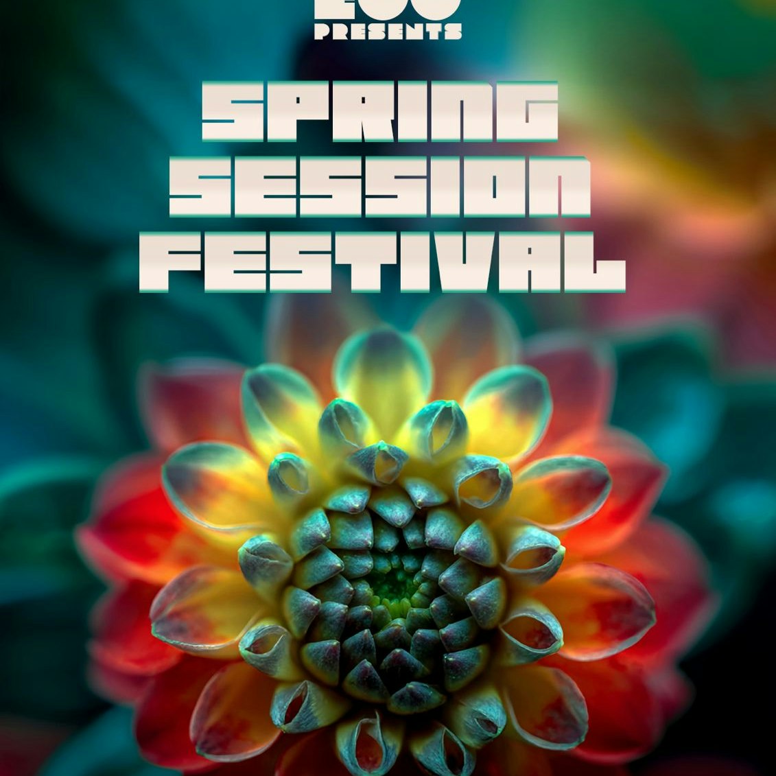 Spring Sessions Festival / Free Party