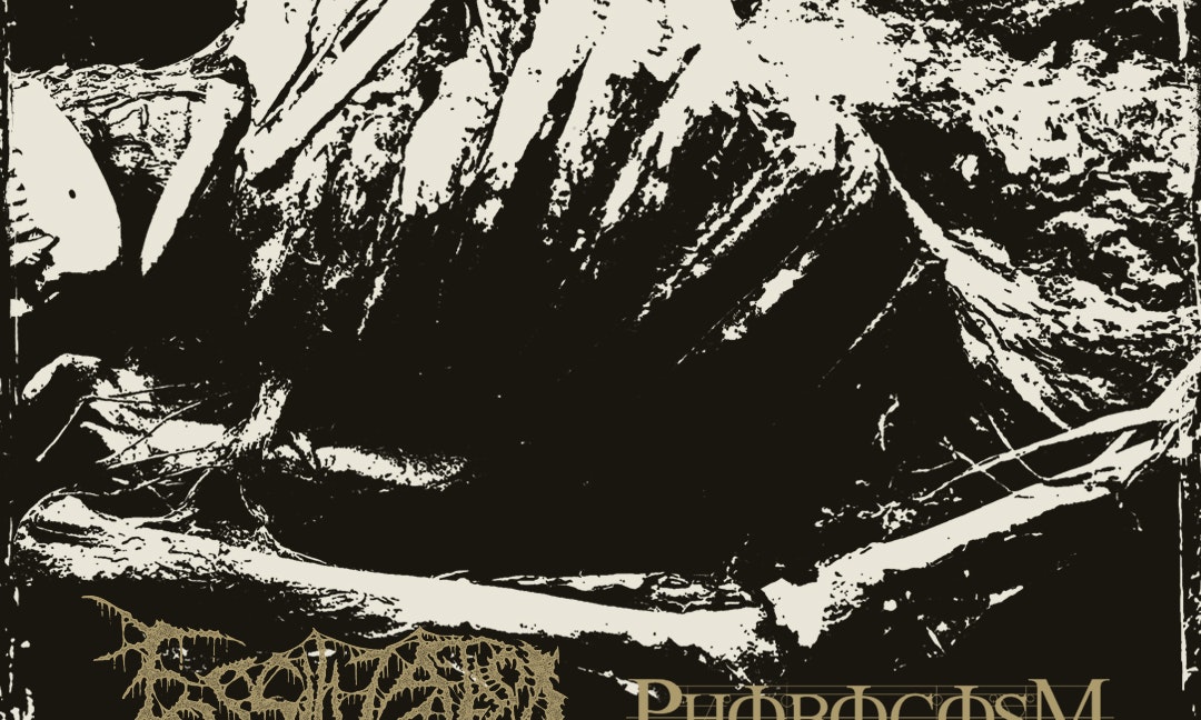 Fossilization + Phobocosm