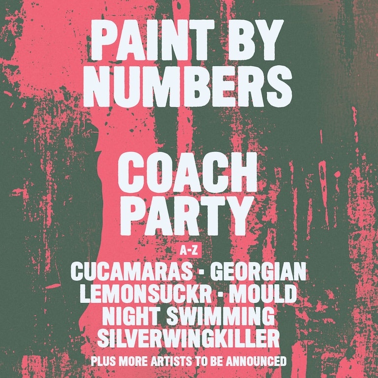 PAINT BY NUMBERS