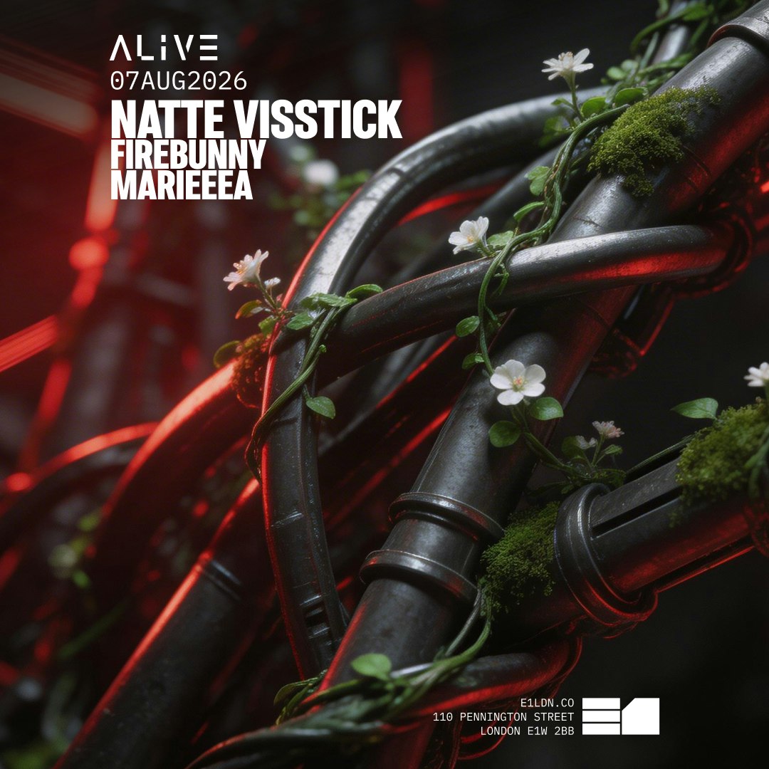 Natte Visstick