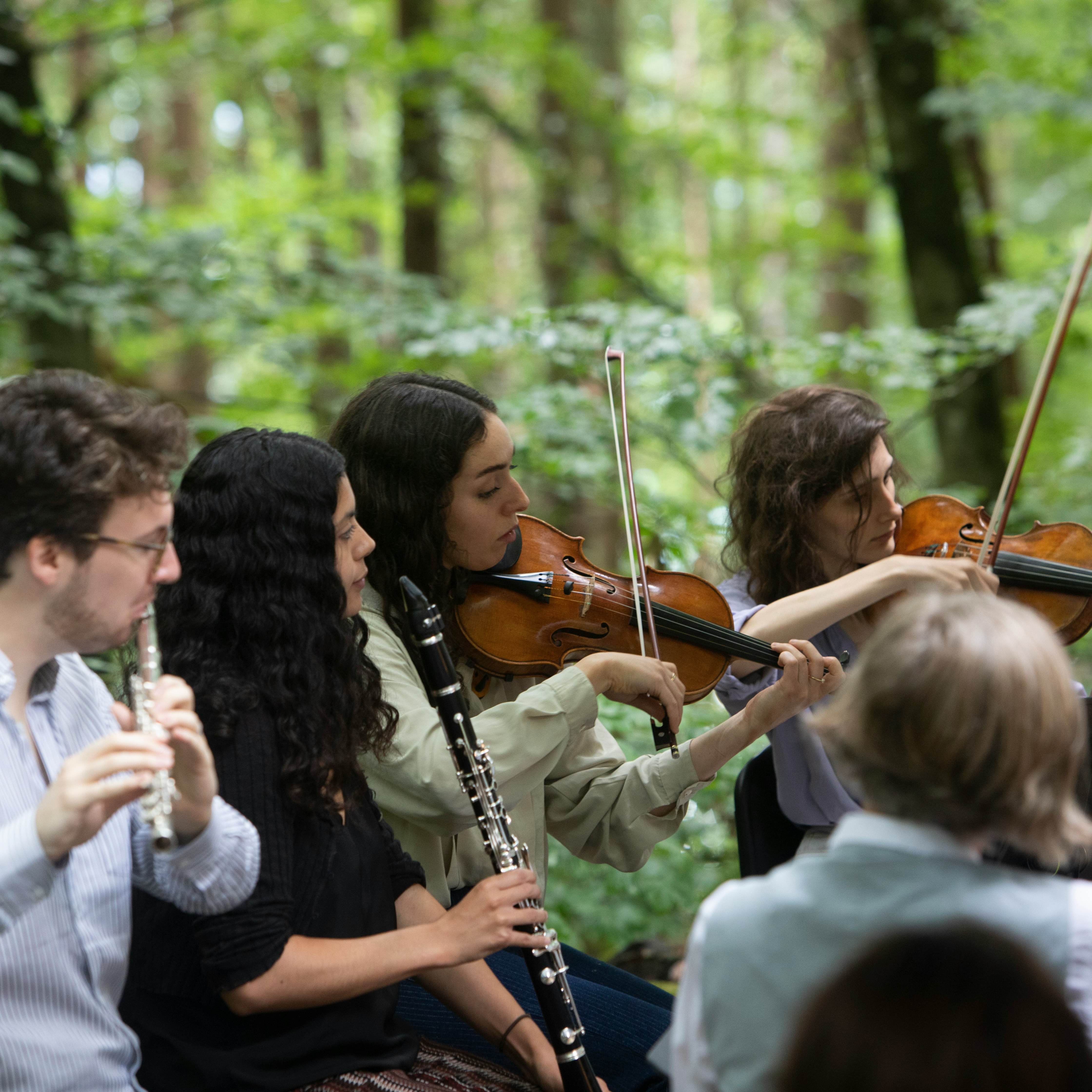 Orchestra for the Earth - Haydn and Haas