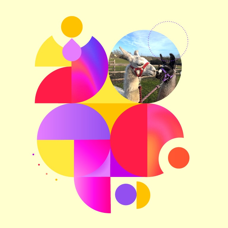 Summer Series: Petting Farm 