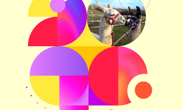 Summer Series: Petting Farm