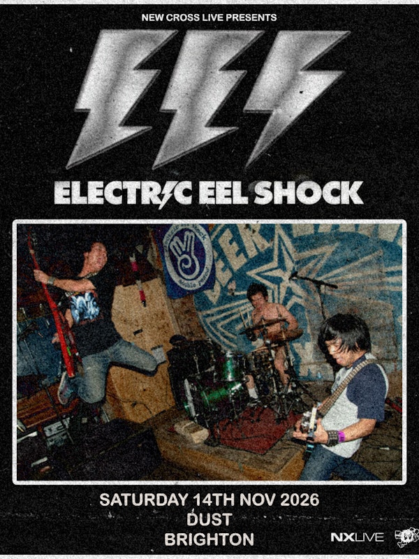 Electric Eel Shock