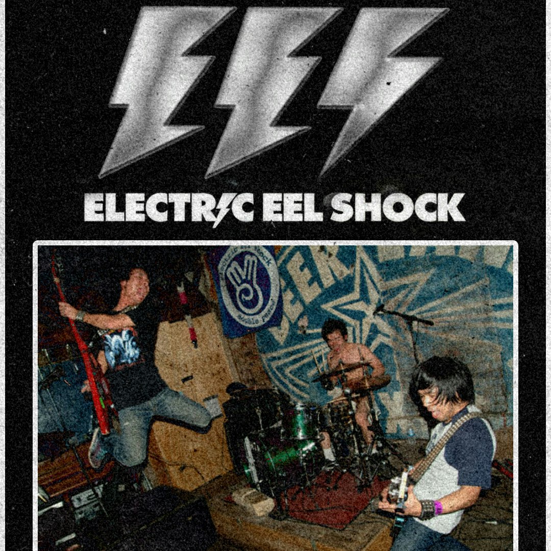 Electric Eel Shock