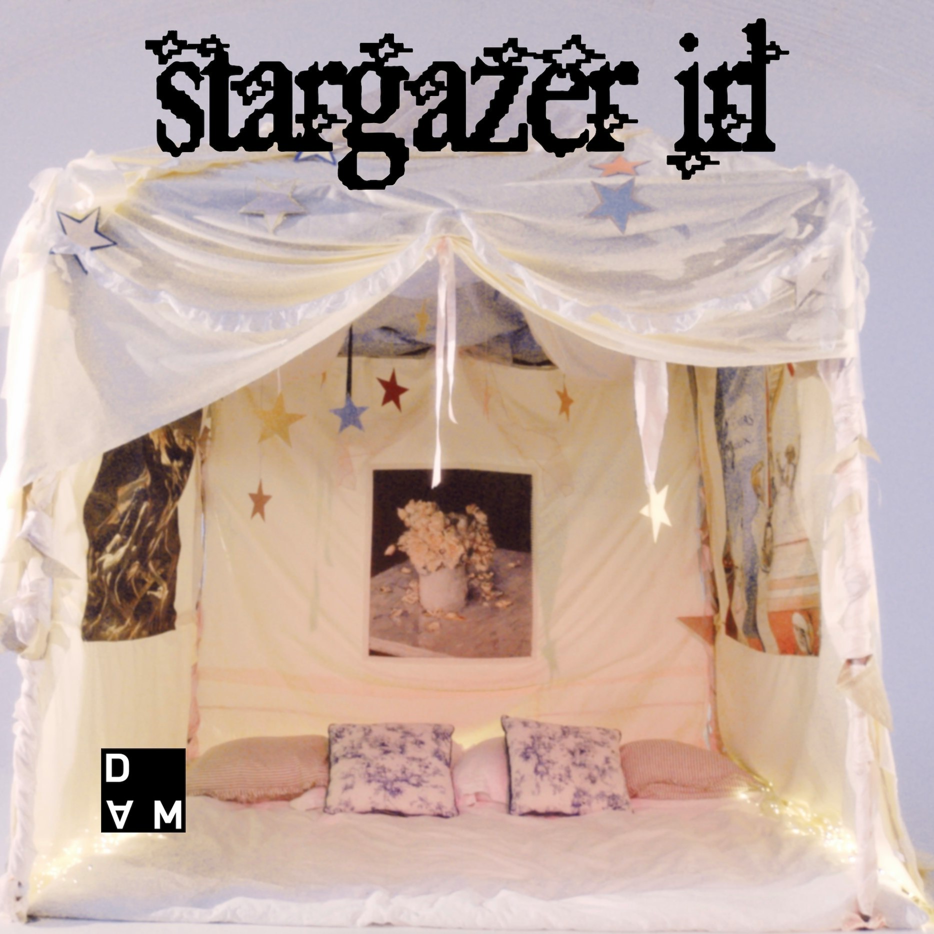 stargazer irl