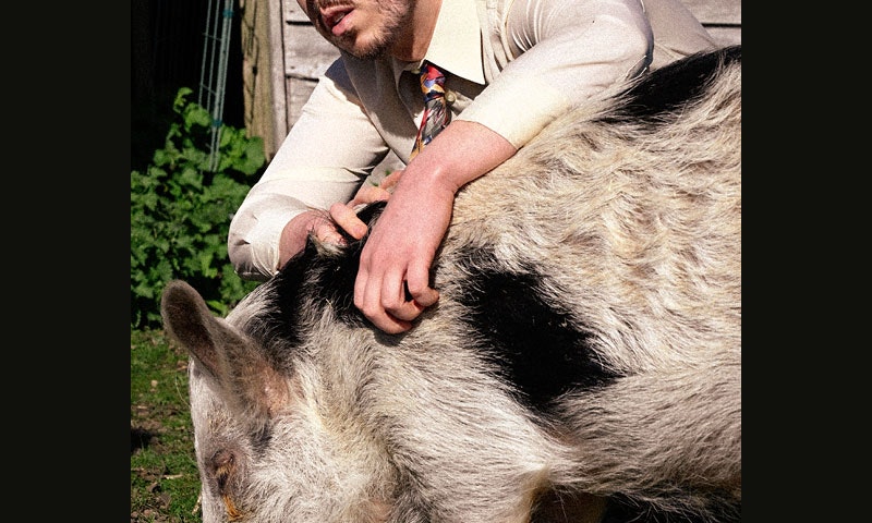 Dom McGovern: Prize Hog (WIP)