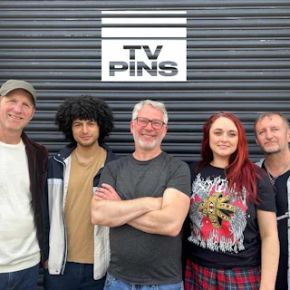 TV Pins