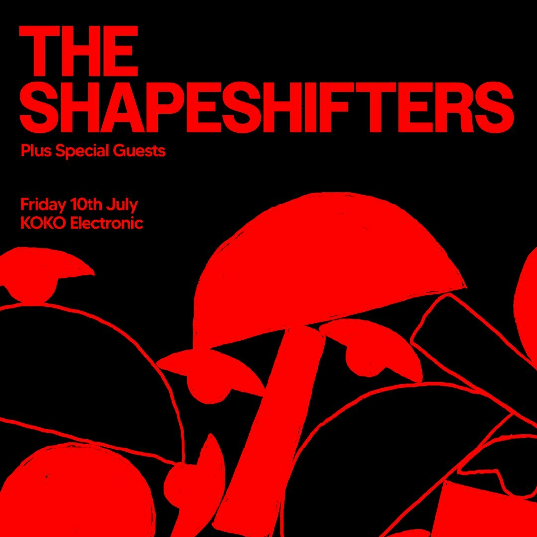 KOKO Electronic: The Shapeshifters