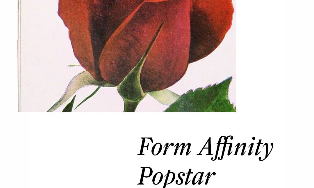 Form Affinity + Popstar + What Jen Wants