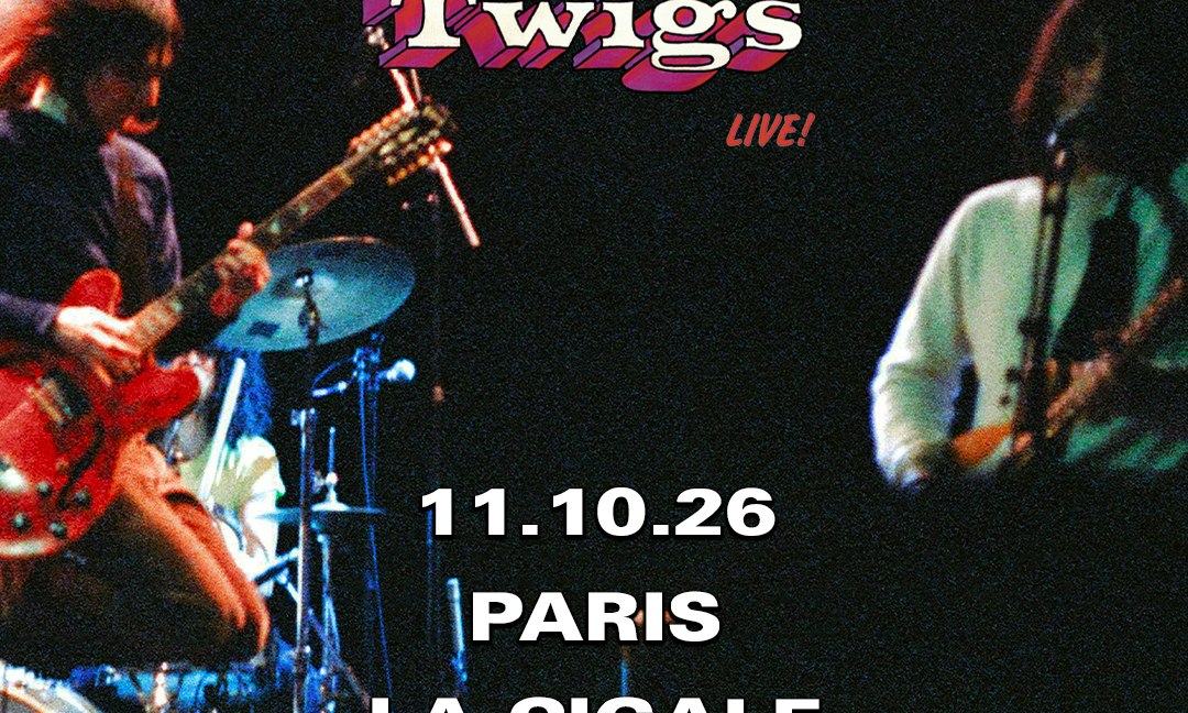 The Lemon Twigs