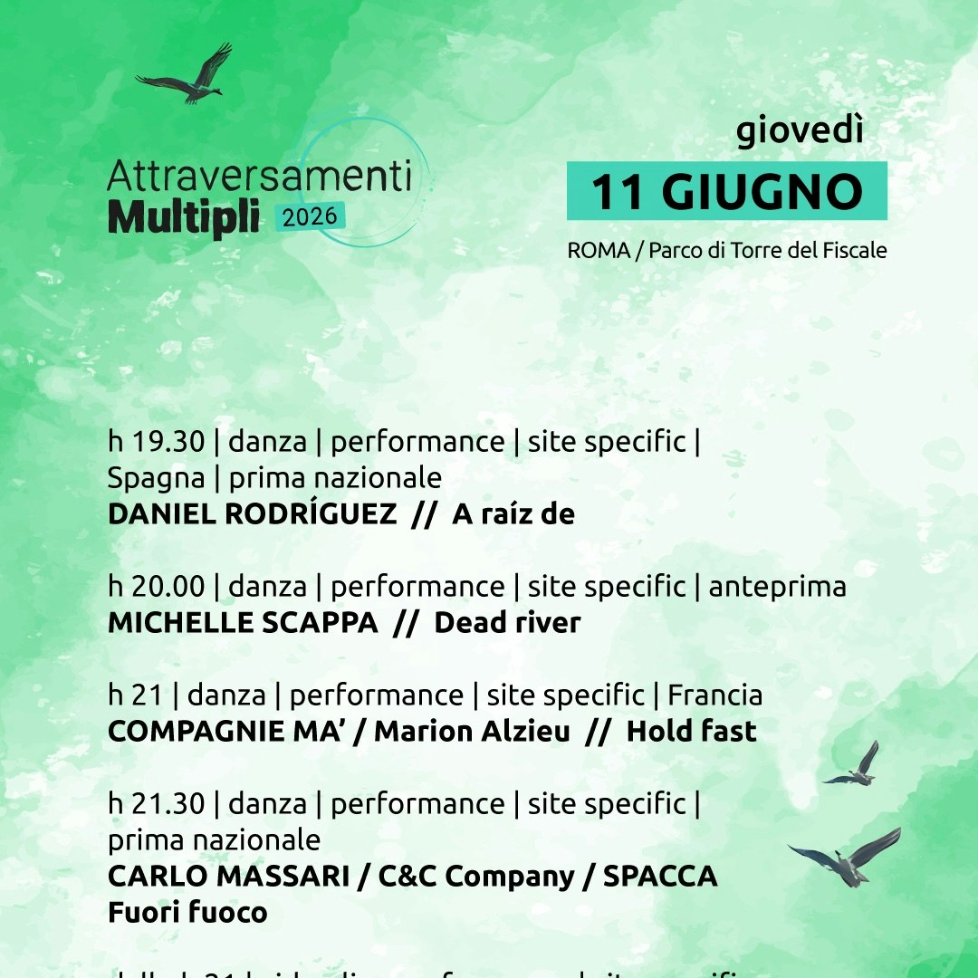 Attraversamenti Multipli 2026 - DAY 1