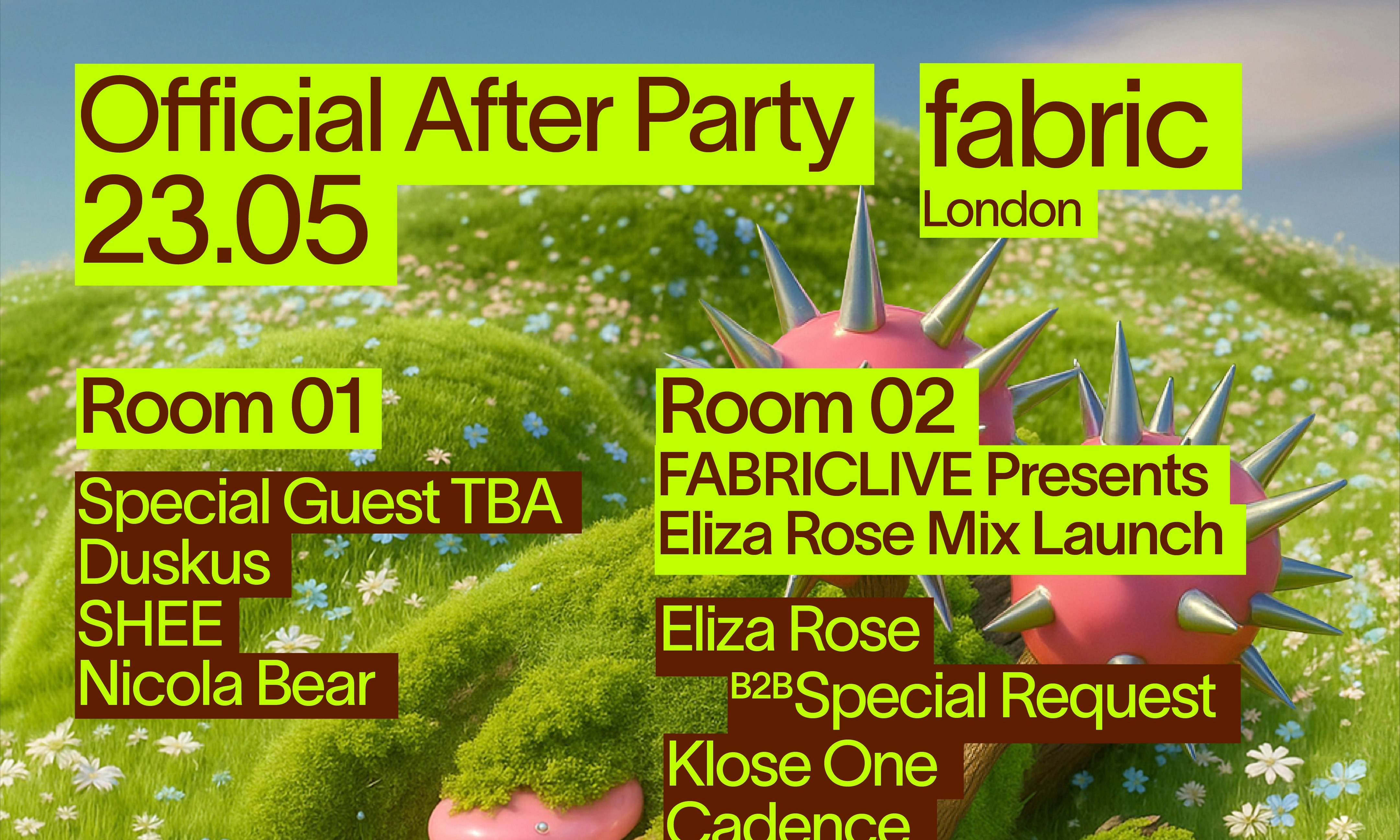 Field Day Afterparty