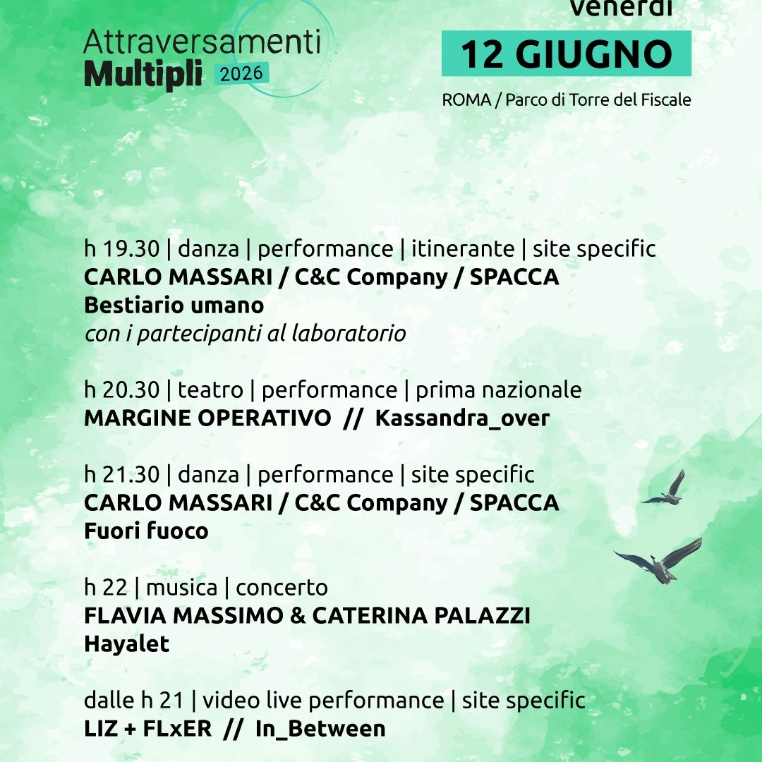 Attraversamenti Multipli 2026 - DAY 2