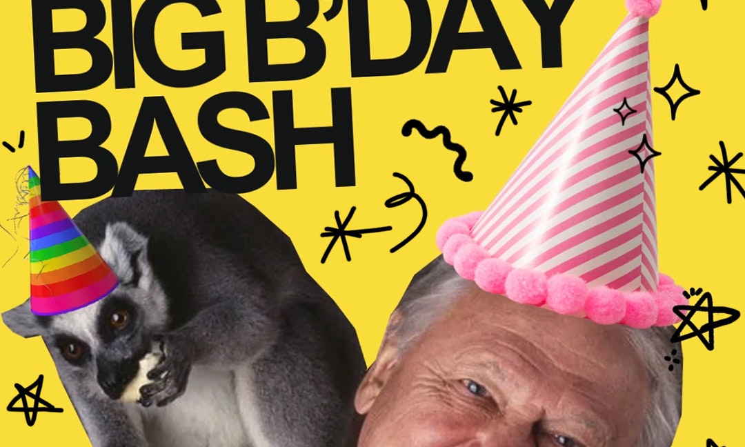 DAVID'S ATTENBOROUGH'S B'DAY BASH!