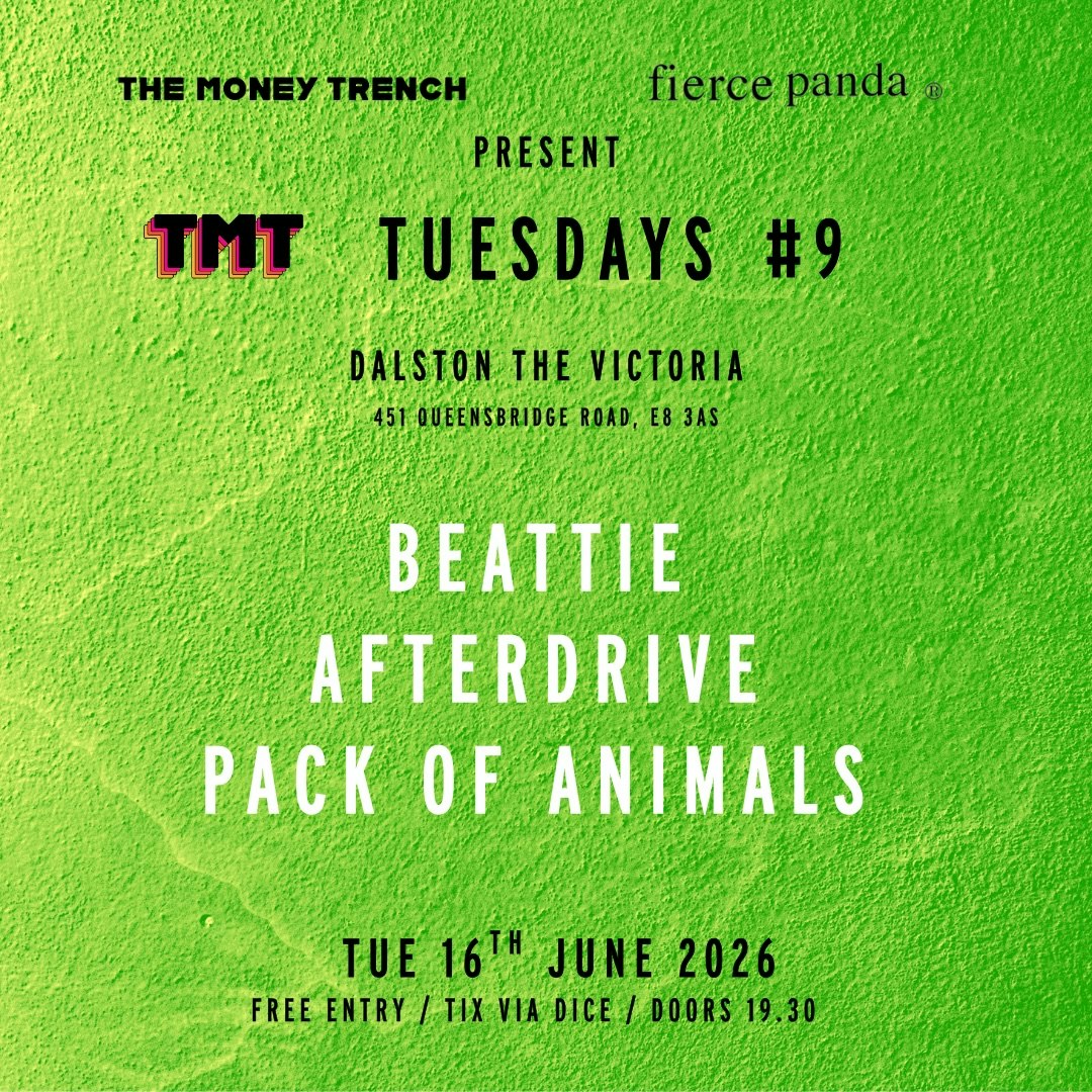 TMT Tues 9: BEATTIE + AFTERDRIVE + PACK OF ANIMALS