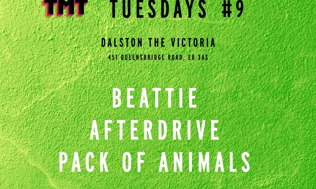 TMT Tues 9: BEATTIE + AFTERDRIVE + PACK OF ANIMALS